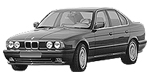 BMW E34 P0ACC Fault Code